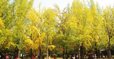 Suasana di Pulau Nami (Kadek Nia/NTD)