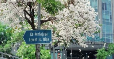 @Instagram Lovesuroboyo