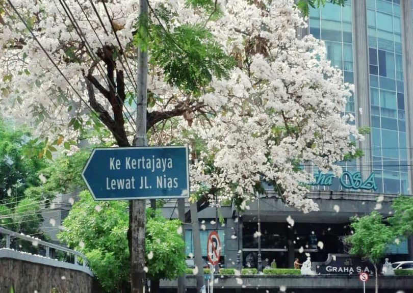 @Instagram Lovesuroboyo