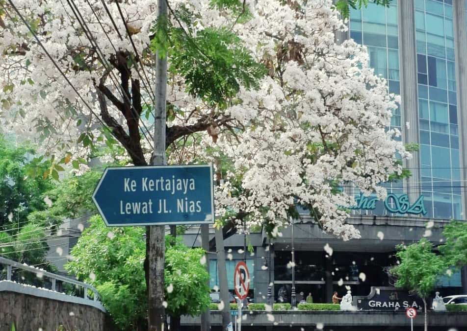 @Instagram Lovesuroboyo