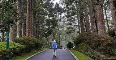 Cibodas (Foto: Merlina/NTDIndonesia)