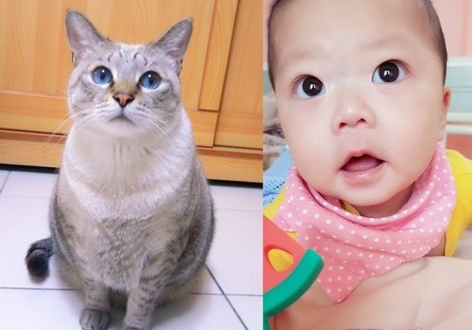 Facebook@Queena Hsiao