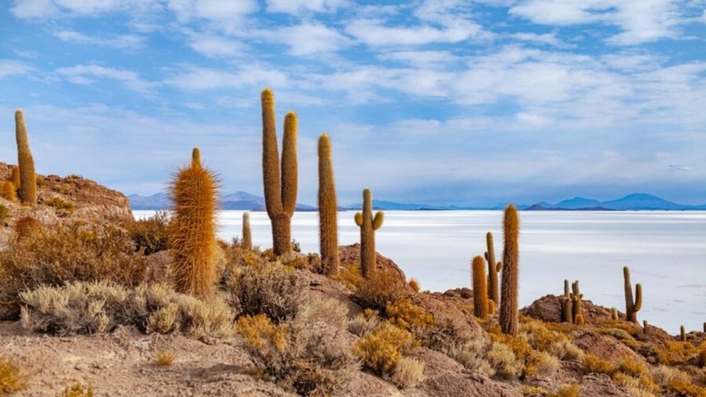 Koral, Salar de Uyuni