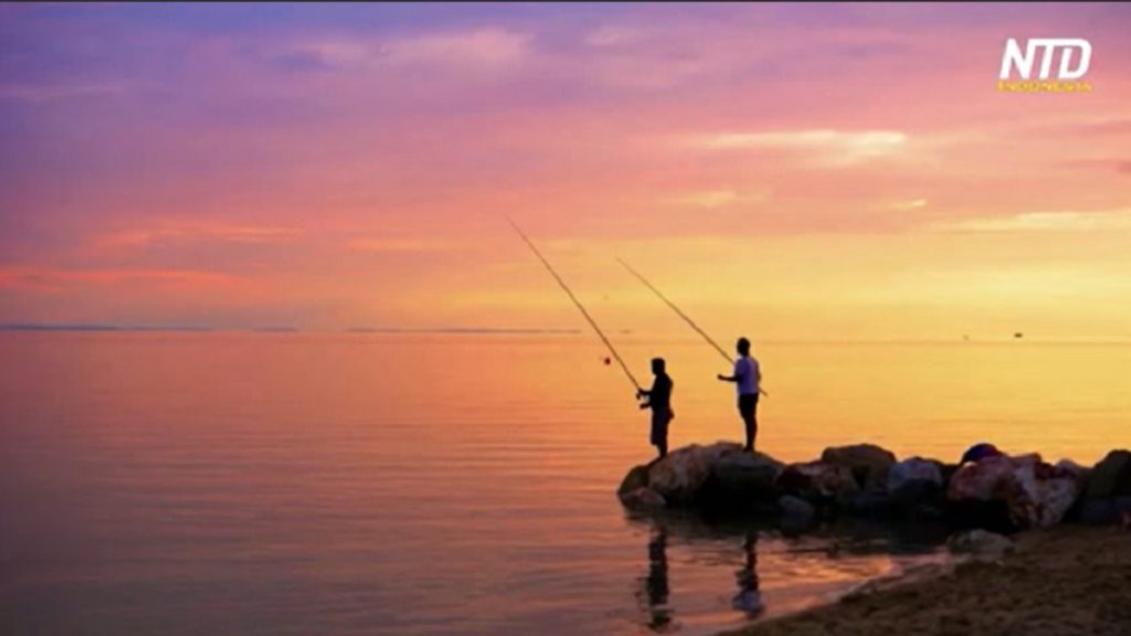 Pemancing ikan