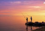 Pemancing ikan