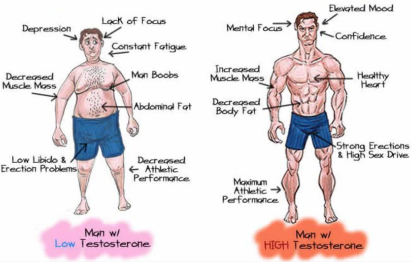 Testosteron