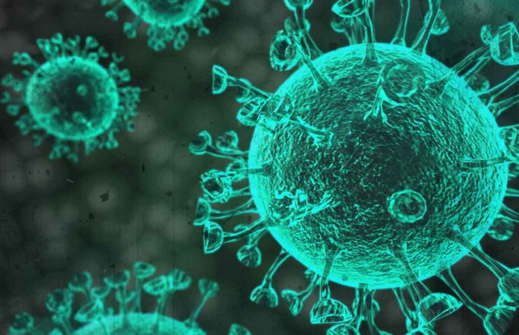 Corona Virus