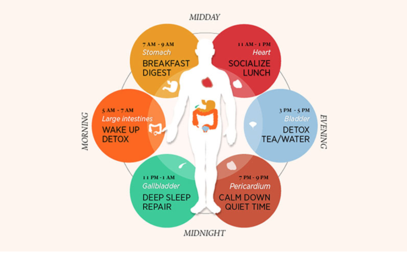 circadian