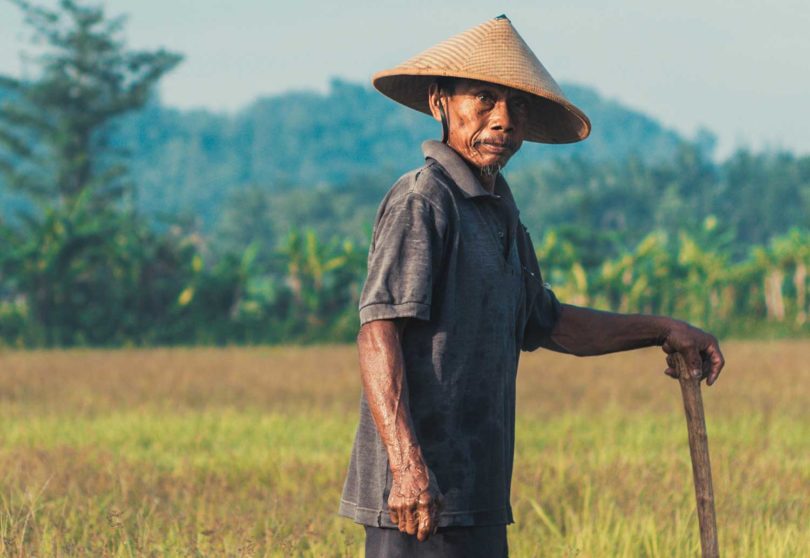 Petani (Credit: Sebastian Staines/Unsplash)