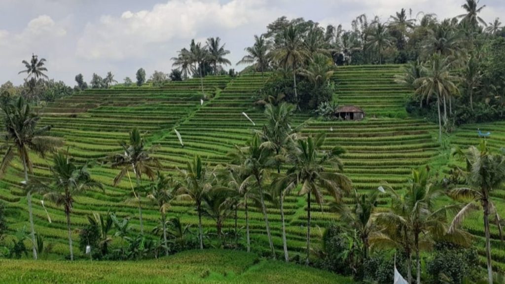 Jatiluwih, Bali