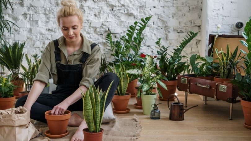 Berkebun (Cottonbro @ Pexels)