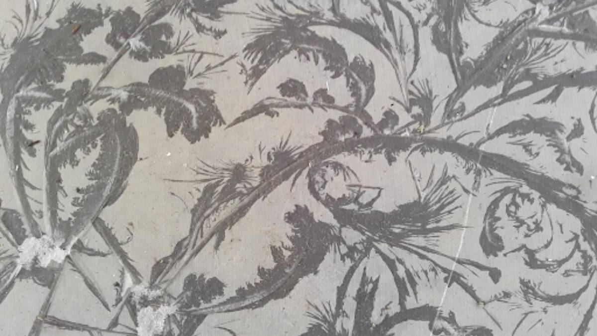 Air Menyimpan Ingatan yang Membantu Kita Memecahkan Misteri