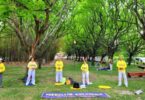 Falun Dafa Kolombia