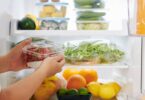 Freezer @Canva Pro