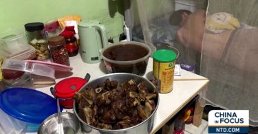 Pekerja China di Brasil