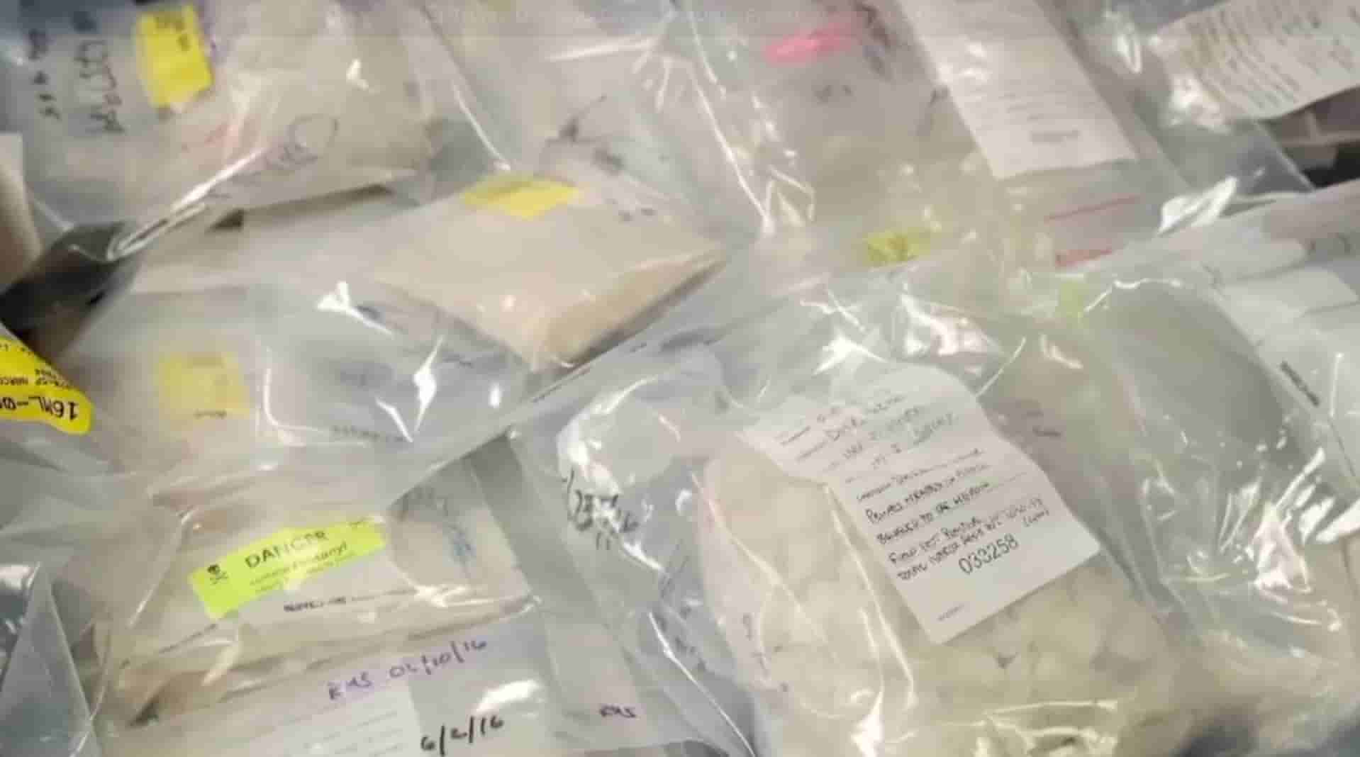 FBI Sita 1,6 Ton Fentanil, Berpotensi Bunuh Sepertiga Populasi Amerika